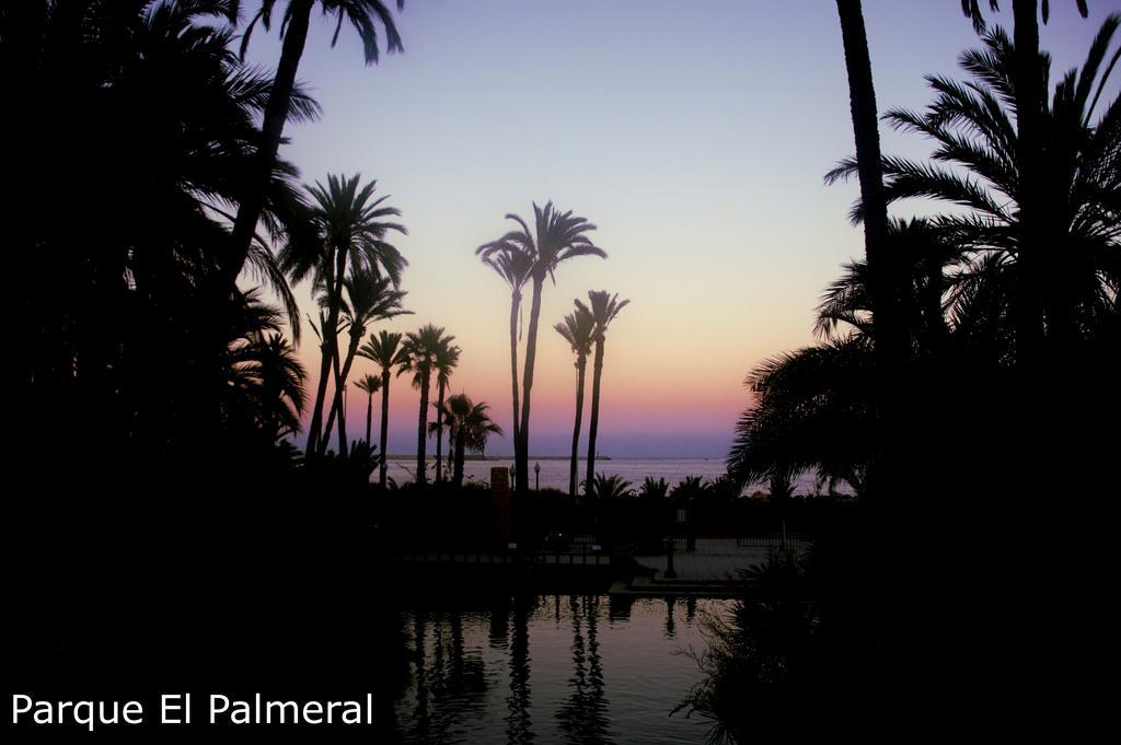 Alicante Apartments Dış mekan fotoğraf